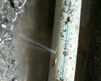 白沙卫生间测漏水多少钱