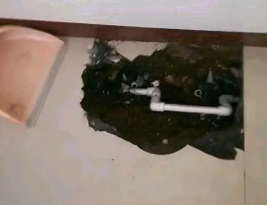白沙卫生间测漏水多少钱